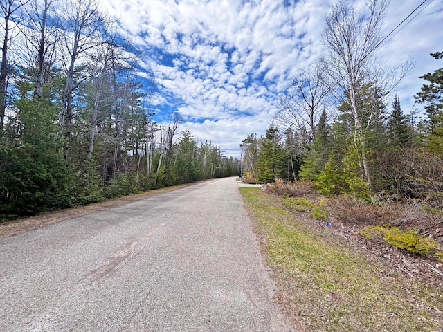 LOT116 W Norwood Ct, Presque Isle, MI 49777 - photo 2