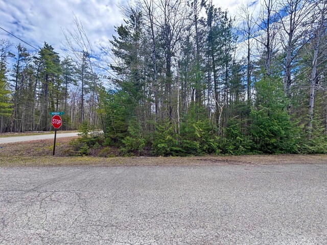 LOT116 W Norwood Ct, Presque Isle, MI 49777 - photo 3