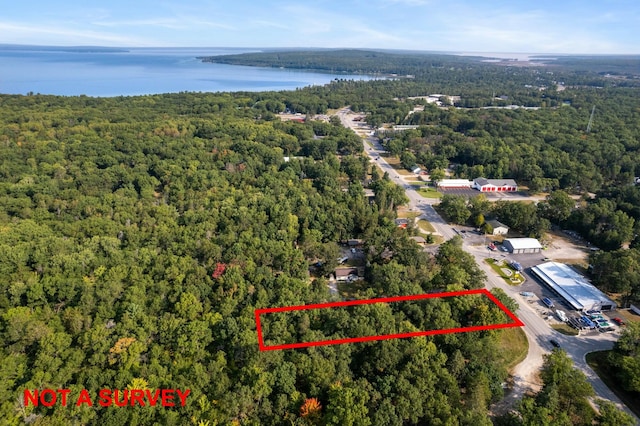 4878 S Straits Hwy, Indian River, MI 49749 - aerial view with a wooded view and a water view