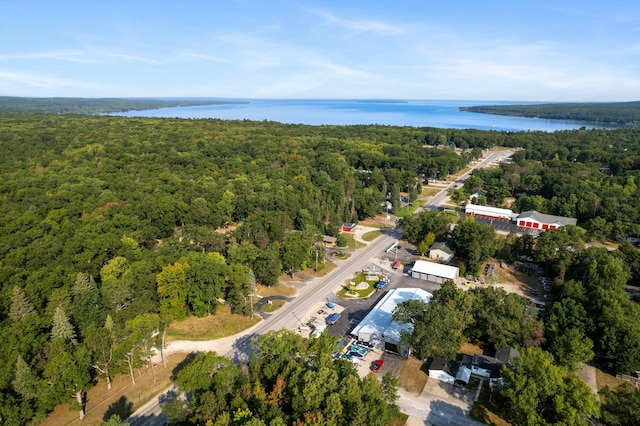 4878 S Straits Hwy, Indian River, MI 49749 - drone / aerial view with a wooded view and a water view
