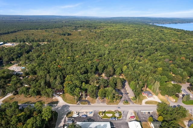 4878 S Straits Hwy, Indian River, MI 49749 - birds eye view of property featuring a wooded view and a water view
