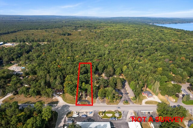 4878 S Straits Hwy, Indian River, MI 49749 - aerial view with a wooded view and a water view