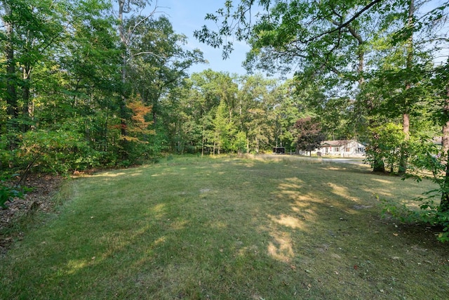4878 S Straits Hwy, Indian River, MI 49749 - view of yard featuring a forest view