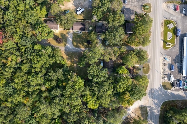 4878 S Straits Hwy, Indian River, MI 49749 - birds eye view of property