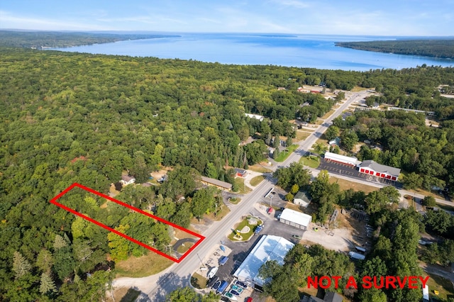 4878 S Straits Hwy, Indian River, MI 49749 - birds eye view of property featuring a view of trees and a water view