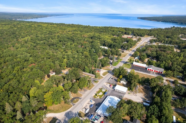 4878 S Straits Hwy, Indian River, MI 49749 - birds eye view of property with a forest view and a water view
