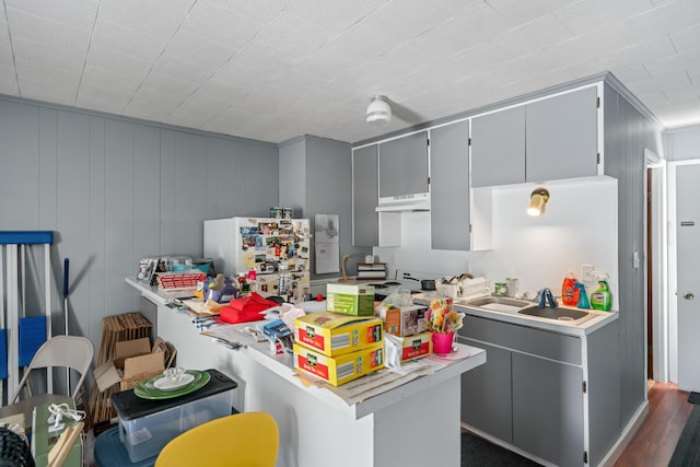 2862 Arlene, Indian River, MI 49749 - kitchen featuring a sink, under cabinet range hood, gray cabinets, light countertops, and freestanding refrigerator