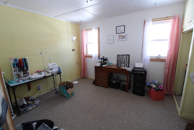 view of carpeted home office