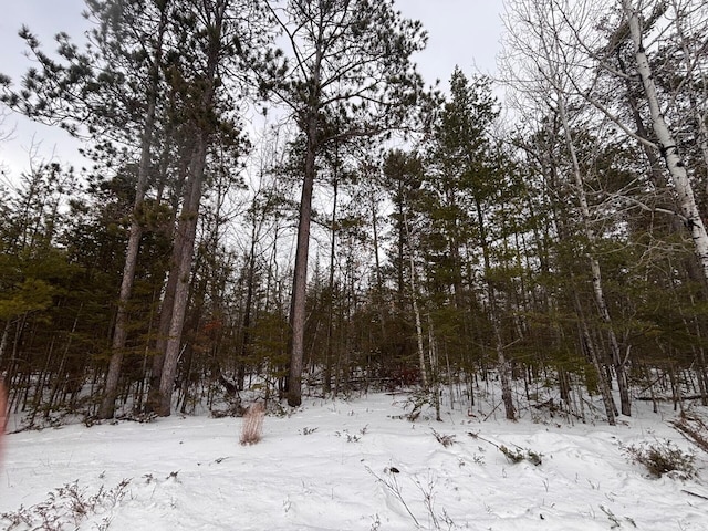 LOT241 Kauffman Rd, Presque Isle MI, 49777 land for sale