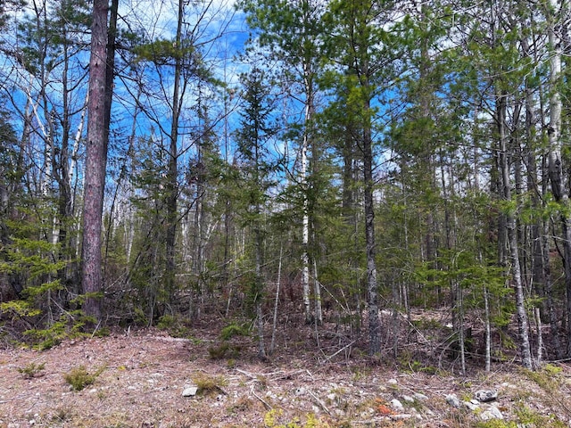 LOT241 Kauffman Rd, Presque Isle, MI 49777