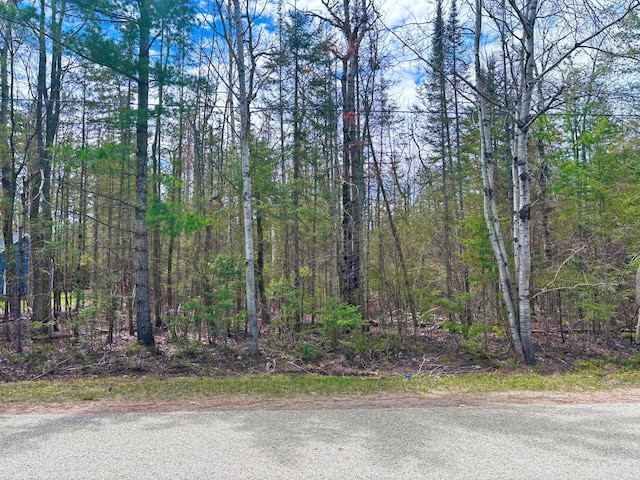LOT241 Kauffman Rd, Presque Isle, MI 49777