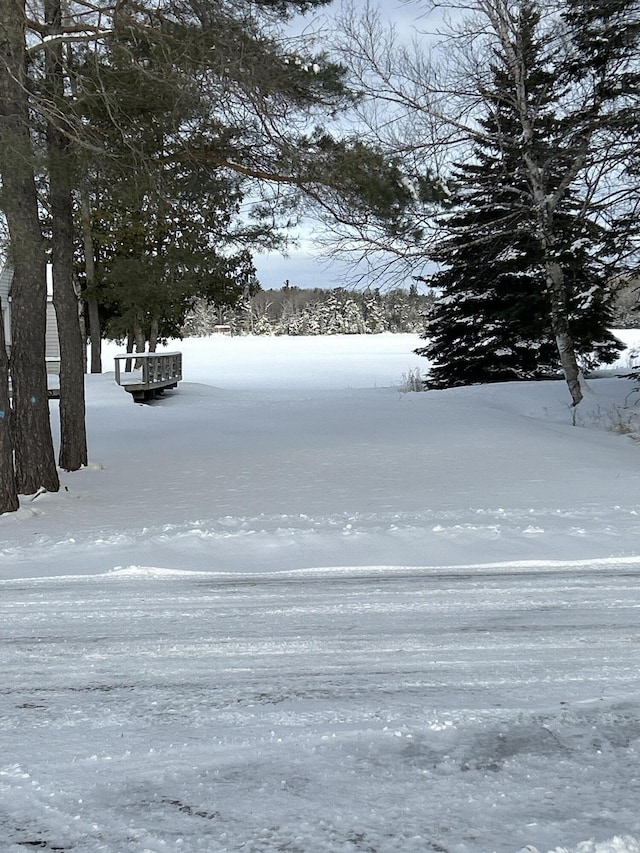 view of snowy yard