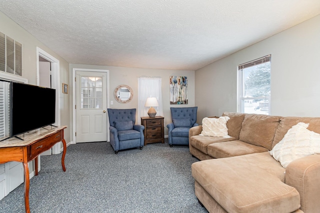 living room featuring a textured ceiling and carpet flooring