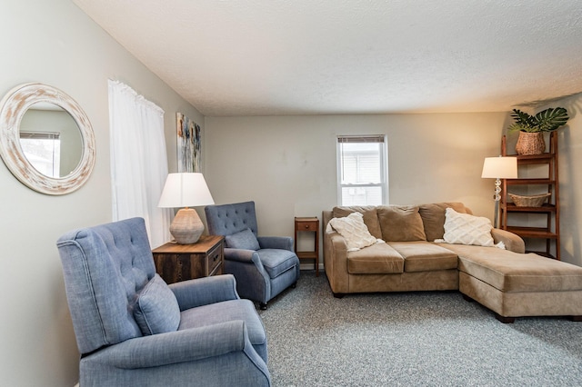 carpeted living area with a textured ceiling