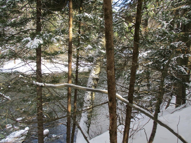 view of water feature