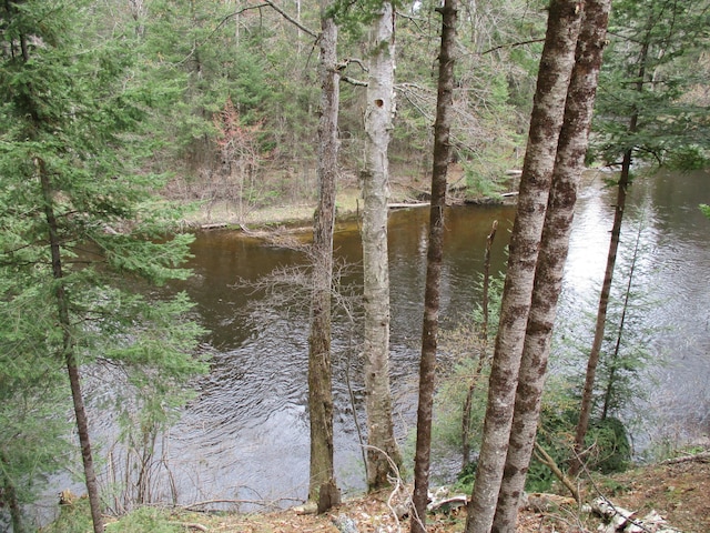 water view with a wooded view