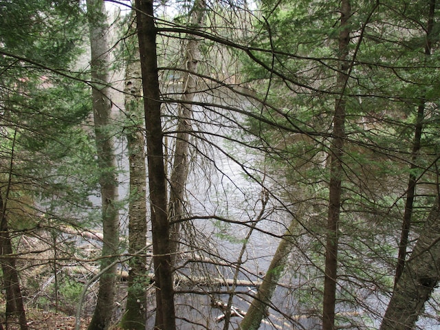 view of local wilderness with a view of trees