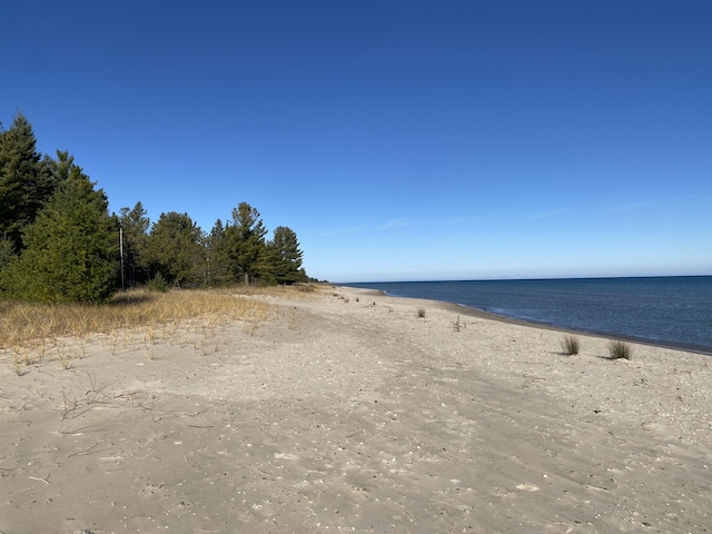 view of water feature with a beach view