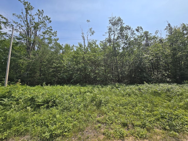 Iroquois Trl, Gaylord, MI 49735