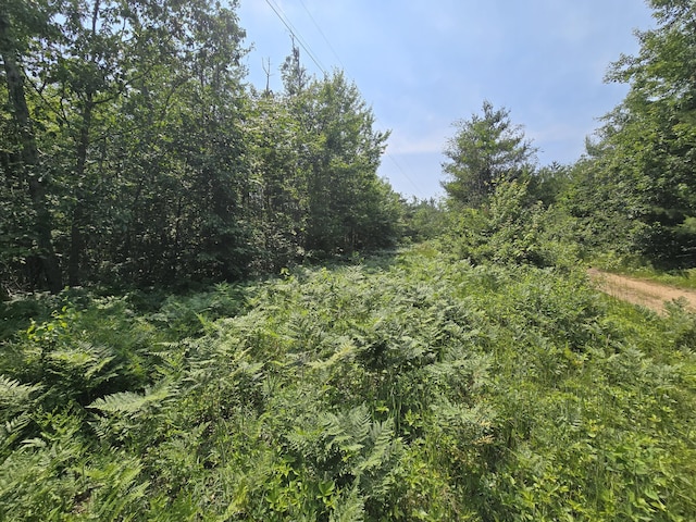 Iroquois Trl, Gaylord, MI 49735