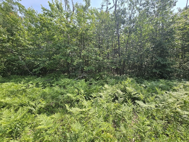 Iroquois Trl, Gaylord, MI 49735
