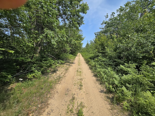 Iroquois Trl, Gaylord, MI 49735