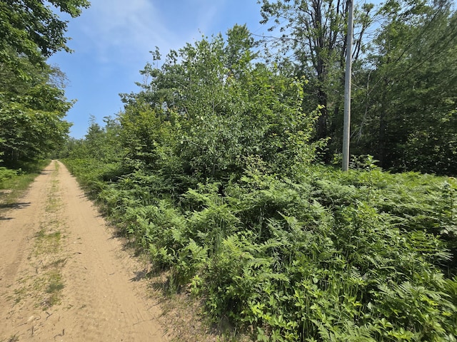 Iroquois Trl, Gaylord, MI 49735