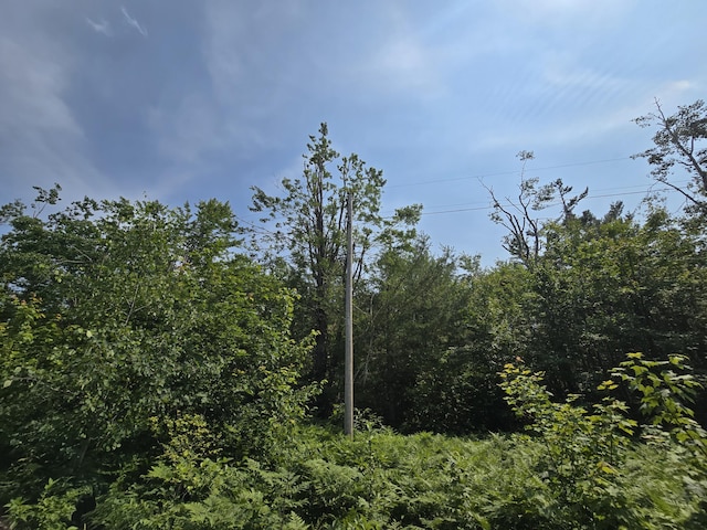 Iroquois Trl, Gaylord, MI 49735
