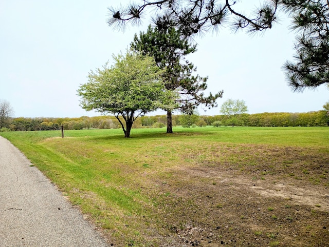 8110 Perry Rd, Houghton Lake, MI 48629 - view of grassy yard