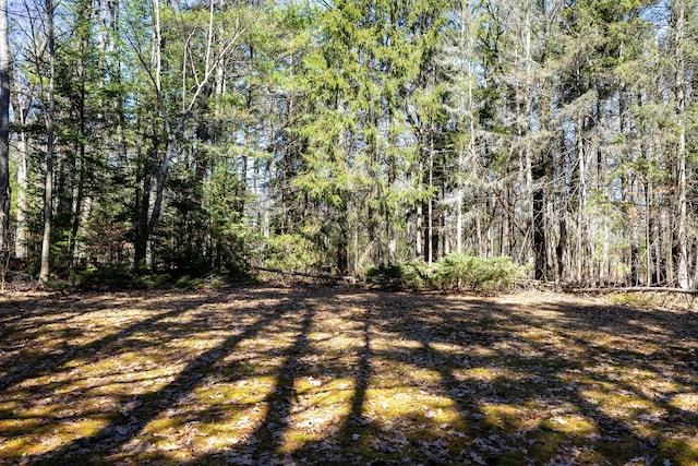 208 Stuckey Ave, Roscommon, MI 48653 - view of yard featuring a forest view