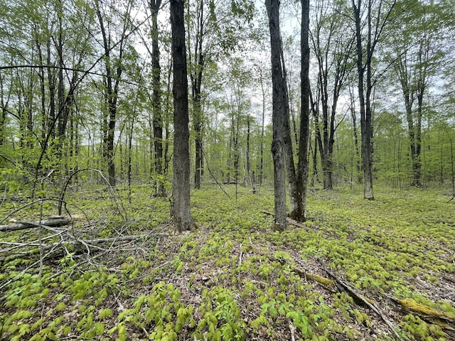 8598 N Sherman Rd, Frederic, MI 49733 - view of woods