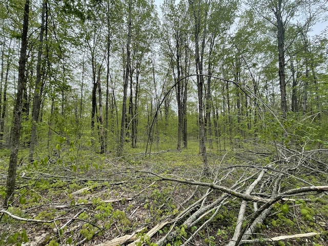 8598 N Sherman Rd, Frederic, MI 49733 - view of undeveloped land