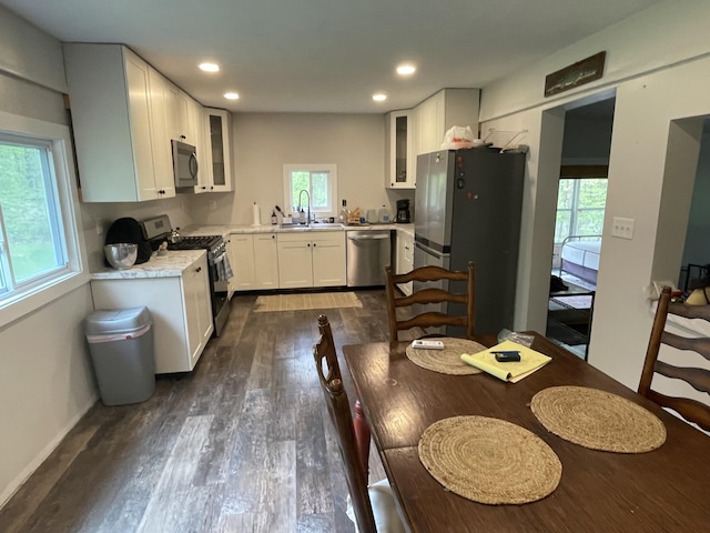 8598 N Sherman Rd, Frederic, MI 49733 - kitchen with stainless steel appliances, plenty of natural light, a sink, light countertops, and recessed lighting