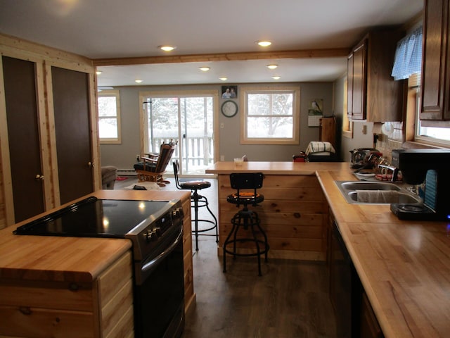 6876 Old Alba Rd, Gaylord, MI 49735 - kitchen featuring a peninsula, wooden counters, black range with electric stovetop, a sink, and dark wood finished floors