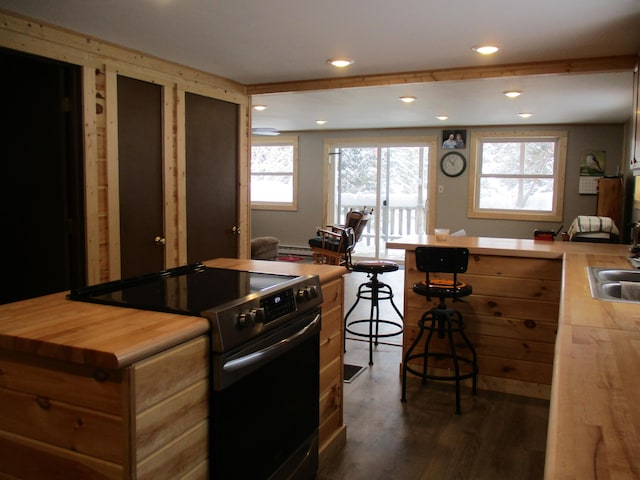 6876 Old Alba Rd, Gaylord, MI 49735 - kitchen featuring electric range, wood counters, plenty of natural light, and dark wood-type flooring