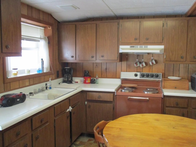 6876 Old Alba Rd, Gaylord, MI 49735 - kitchen featuring under cabinet range hood, light countertops, a sink, and electric range oven
