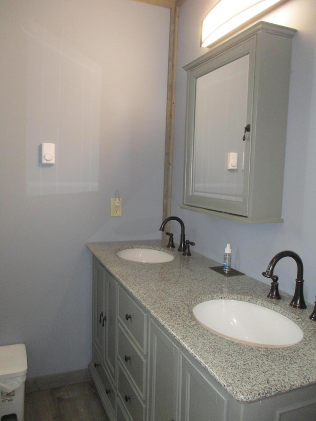 6876 Old Alba Rd, Gaylord, MI 49735 - bathroom with double vanity, toilet, and a sink