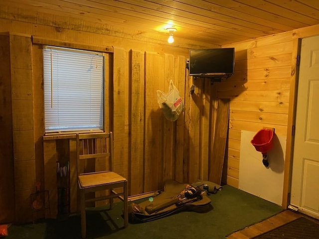 6876 Old Alba Rd, Gaylord, MI 49735 - workout area with wood walls and wooden ceiling