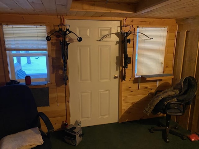 6876 Old Alba Rd, Gaylord, MI 49735 - workout area featuring wood ceiling, wood walls, and carpet floors