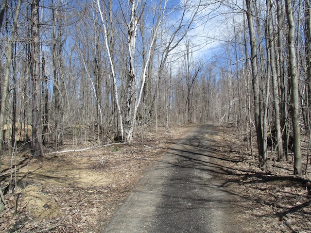 6876 Old Alba Rd, Gaylord, MI 49735 - view of road featuring a view of trees