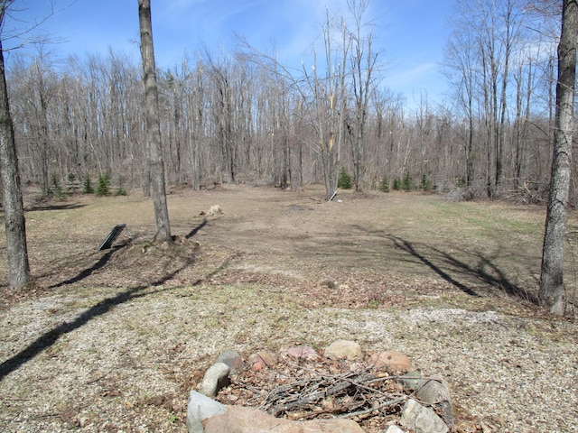 6876 Old Alba Rd, Gaylord, MI 49735 - view of landscape