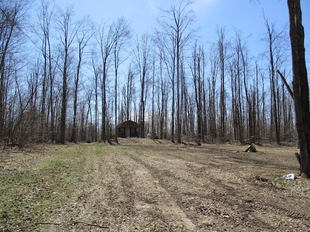 6876 Old Alba Rd, Gaylord, MI 49735 - view of nature