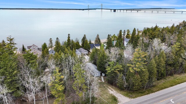 821 Lakeside Dr, Mackinaw City, MI 49701 - photo 22