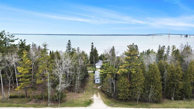 821 Lakeside Dr, Mackinaw City, MI 49701 - photo 23
