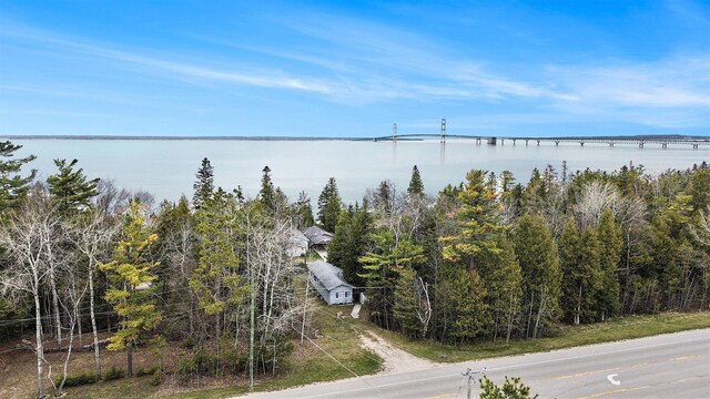 821 Lakeside Dr, Mackinaw City, MI 49701 - photo 21