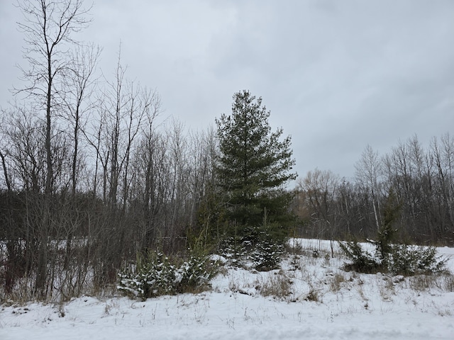 Listing photo 2 for LOT8 N E St, Cheboygan MI 49721