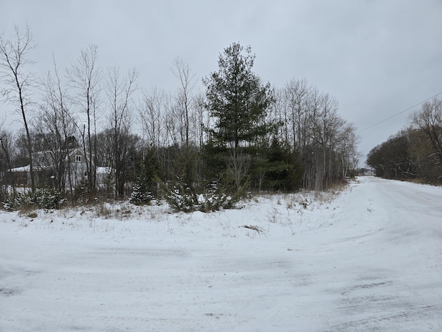 Listing photo 3 for LOT8 N E St, Cheboygan MI 49721