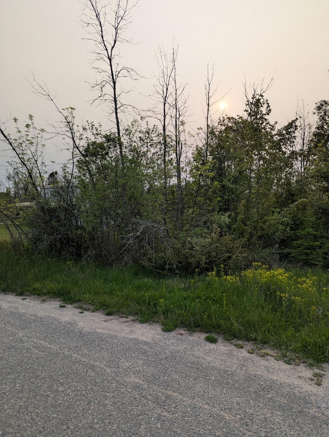 LOT8 N E St, Cheboygan, MI 49721