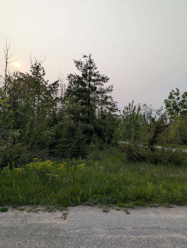 LOT8 N E St, Cheboygan, MI 49721