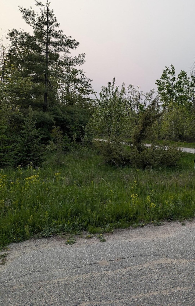 LOT8 N E St, Cheboygan, MI 49721